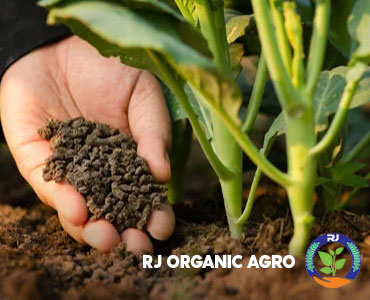 RJ Organic Agro